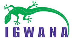 Igwana Logo